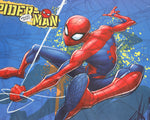 Load image into Gallery viewer, Marvel Spider-Man Children Swim Quick Drying Towel VE24821-S
