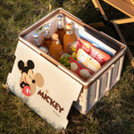 Load image into Gallery viewer, DISNEY MICKEY FOLDABLDE STORAGE BASKET DM24098-A
