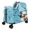 Luggage-DH41322-A