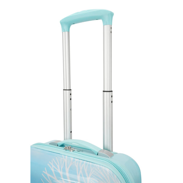 Luggage-DH19238-Q