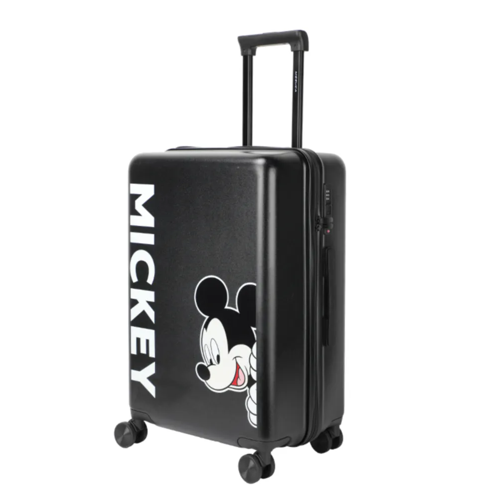 Luggage-DH41289-A1