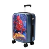 Luggage-VH41486-S