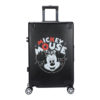 Luggage-DH41435-A1