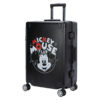 Luggage-DH41435-A1