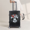 Luggage-DH41435-A1