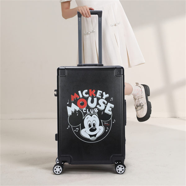 Luggage-DH41435-A1